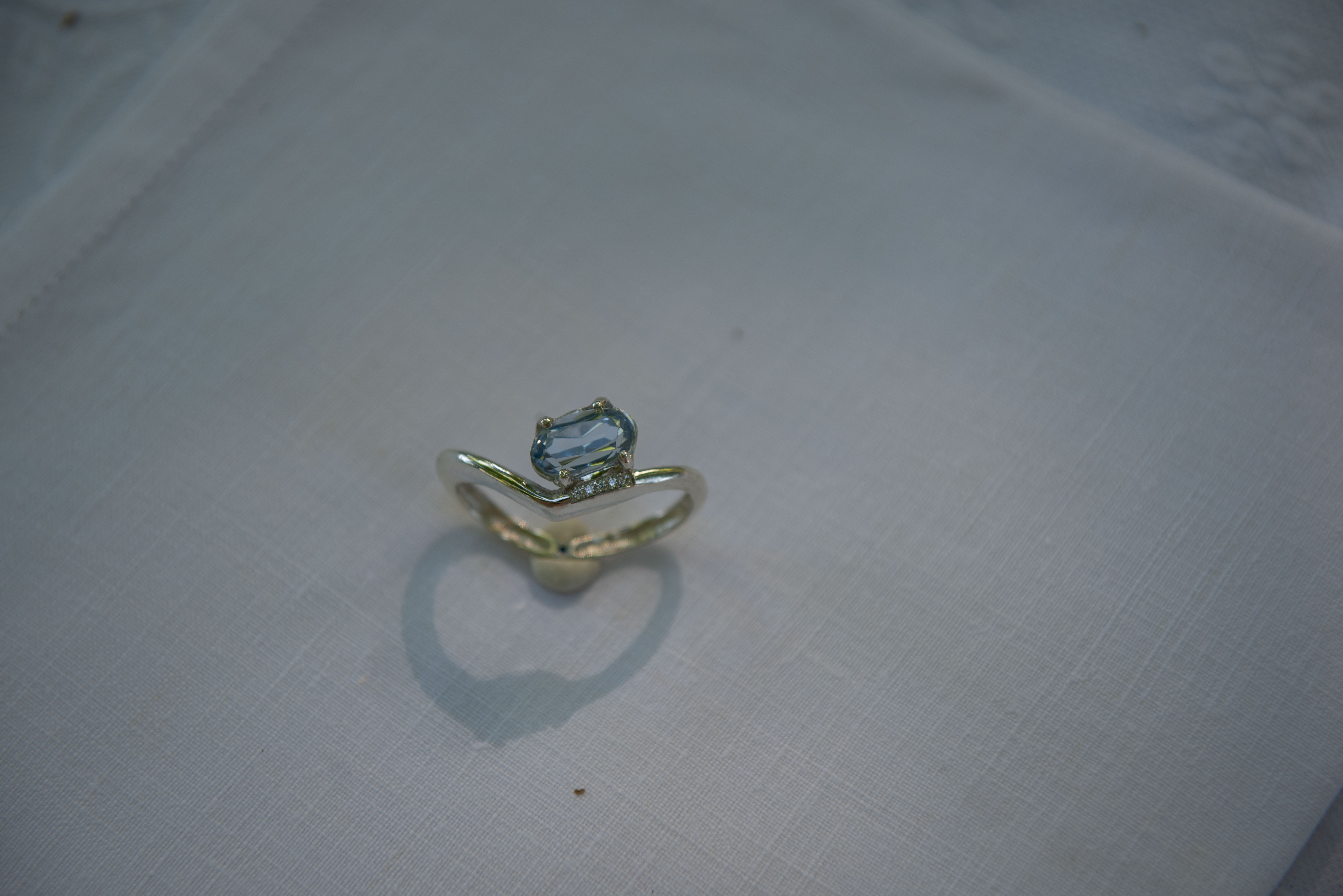Anello Doppio
